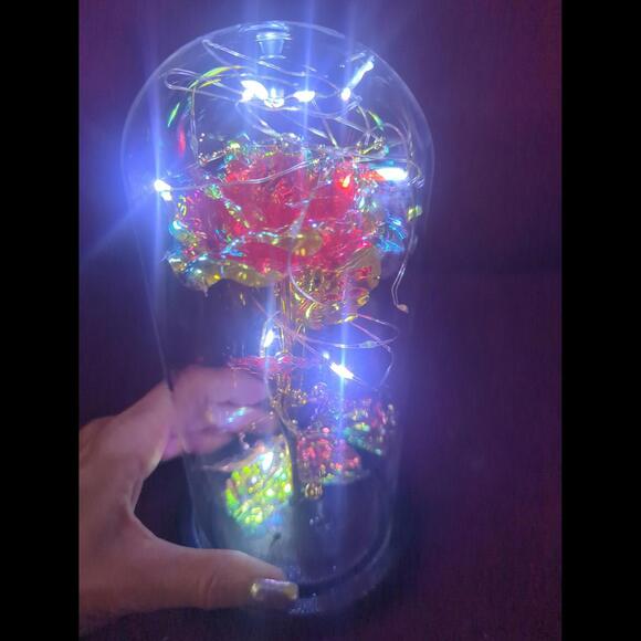 Rose light - Picture 2 of 6